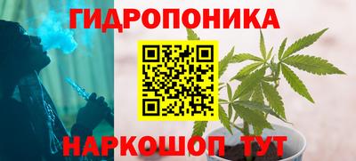 хмурый Краснодар