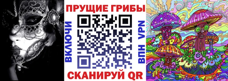 Галлюциногенные грибы прущие грибы  Карпинск 