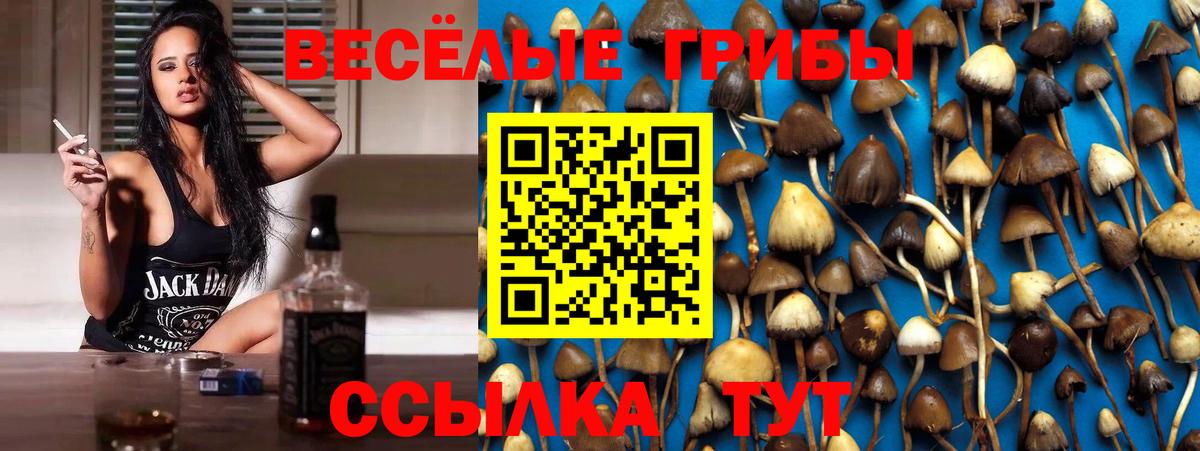 купить наркоту  Псилоцибиновые грибы Psilocybine cubensis  Вход с VPN  Карпинск 