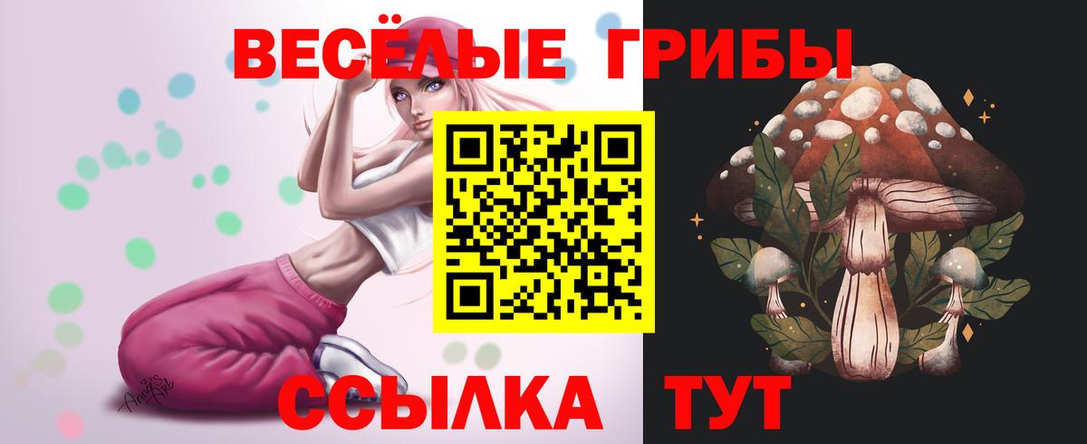 Галлюциногенные грибы Psilocybine cubensis Карпинск